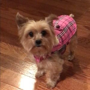 Meet your Posher, REG